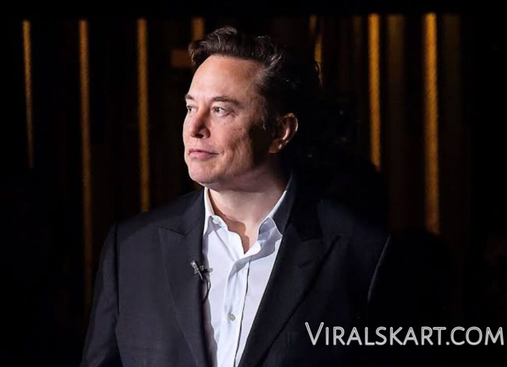 Elon Musk Viralskart.com